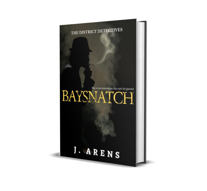 The District Detectives: Baysnatch (Book 2) - Image 7