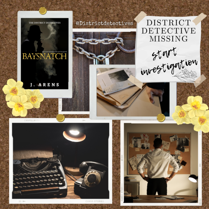 The District Detectives: Baysnatch (Book 2) - Image 5