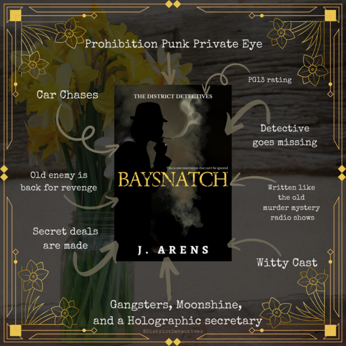 The District Detectives: Baysnatch (Book 2) - Image 4