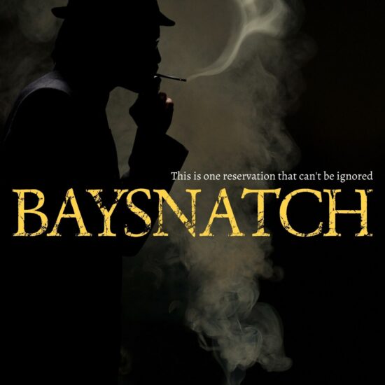 The District Detectives: Baysnatch (Book 2)