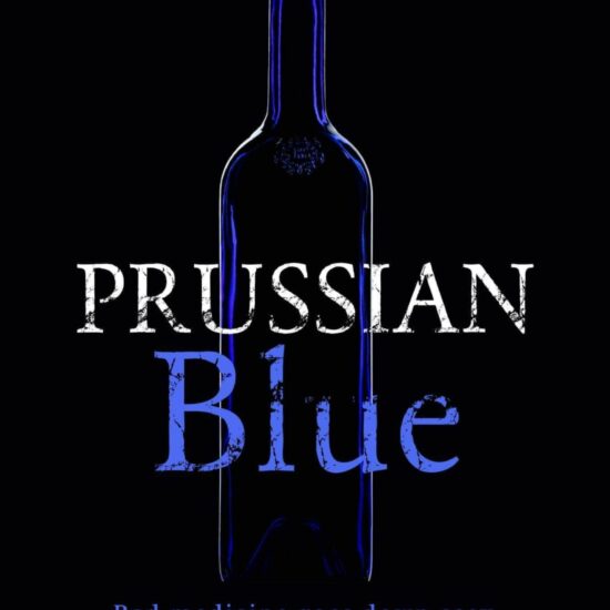 The District Detectives: Prussian Blue (Book 3)