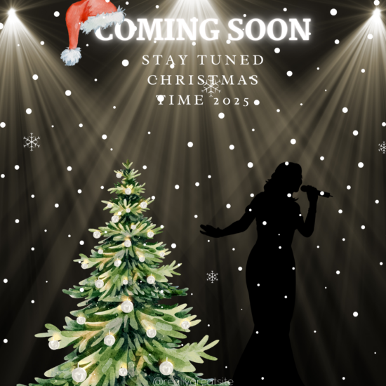 The District Detectives Christmas Novel
